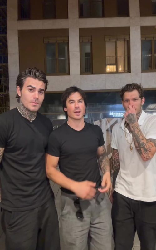 Cover of @shadow96976's TikTok video: Spanish Damon 😂 #damonsalvatore#tvd#stefansalvatore#klausmikealson
