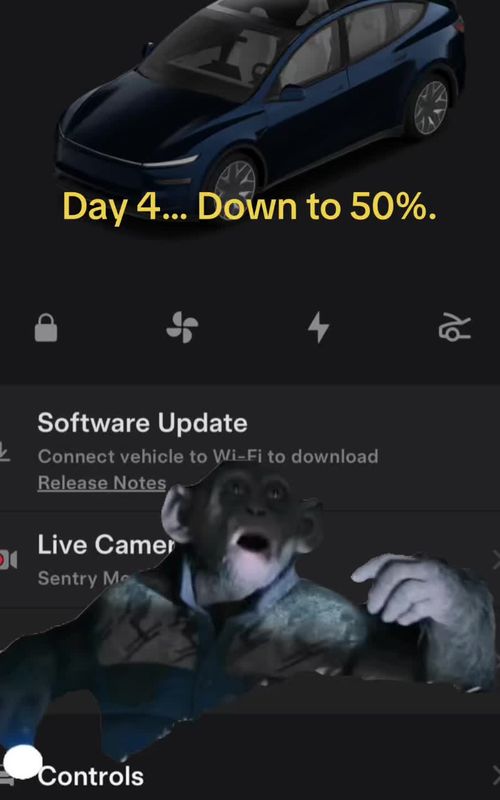 Cover of @livingintheohiovalley's TikTok video: Day 4 and I’m at 50%. Lost another 6%. Sentry mode caught a guy looking in my windows. Pretty sure he just wanted to see what the YL looks like so I’ll give him