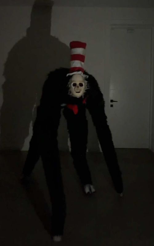 Cover of @nataliireynoldss's TikTok video: did I win this trend? #halloween #catinthehat #spiritwalker #costumeideas #nataliereynolds