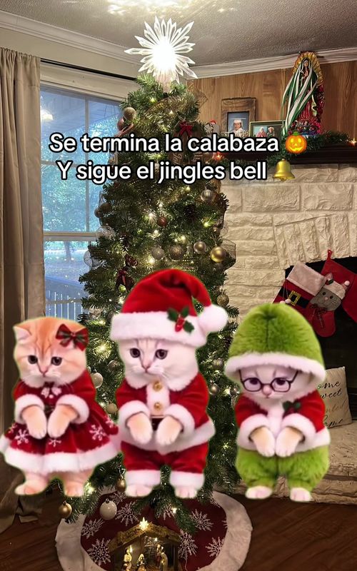 Cover of @lalapineda71's TikTok video: #Meme #MemeCut #cctrends #jinglesbells #lacalabazatiktok
