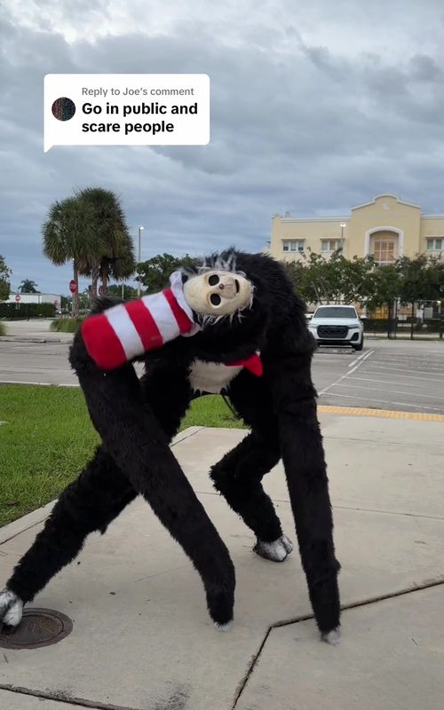 Cover of @nataliireynoldss's TikTok video: Replying to @Joe the reactions are priceless 😭 #halloween #costume #catinthehat #spiritwalker #nataliereynolds costume made by: @Spiritwalker