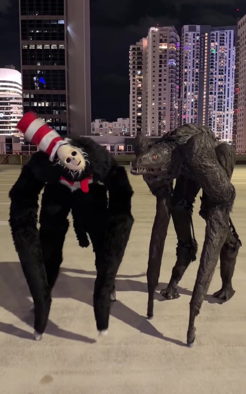Cover of @nataliireynoldss's TikTok video: Did we win this trend? @Spiritwalker #halloween #costume #catinthehat #spiritwalker #nataliereynolds