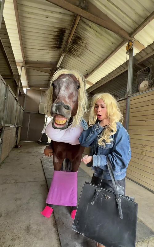 Cover of @bailey_horse_tricks5's TikTok video: You wanan talk about mama #horses #whitechicks #halloweencostume #funny #baileyandmarley