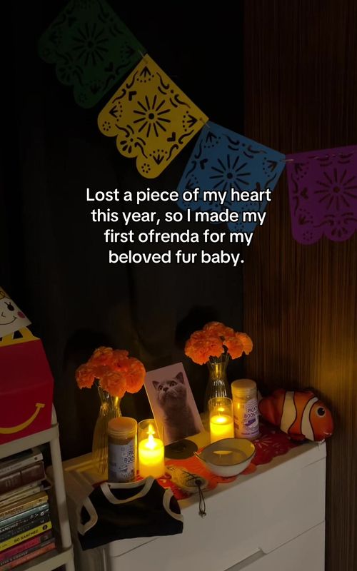 Cover of @jhomsespinoza_'s TikTok video: October 27 is commonly observed as the Day of the Dead for pets, a tradition rooted in Mexican culture. 🕊️🐾 An ofrenda is an altar created to honor and rememb