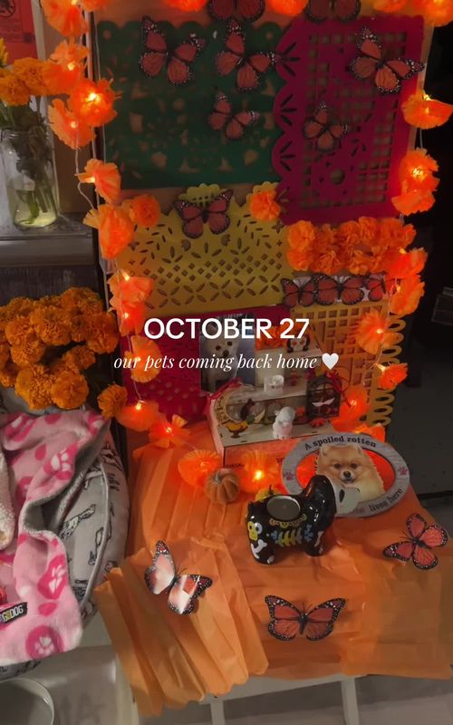 Cover of @jackievasquez_'s TikTok video: first time making an ofrenda 🥺 my little girl is coming back to visit 🪽🕊️🐶 #october27 #ofrenda #diadelosmuertos #petgrief #dayofthedead