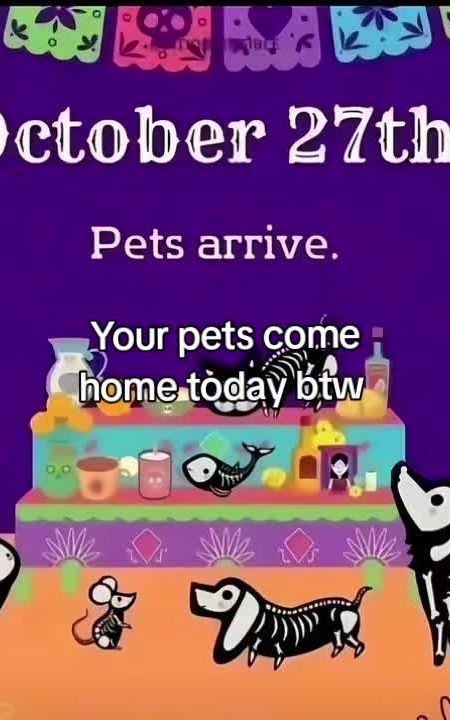 Cover of @09snugglebug01's TikTok video: Ur pets come home today 🩷 #dayofthedead #pets #october #sad #fyp